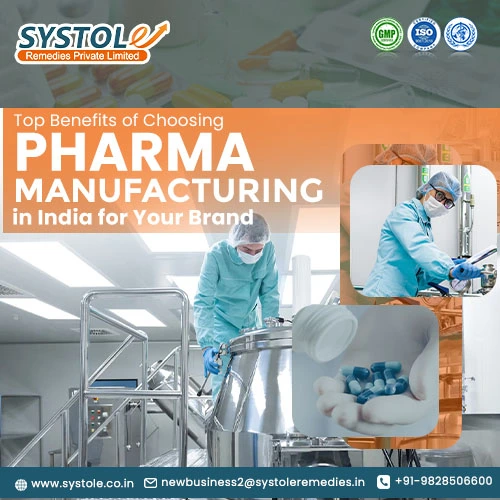 Top Benefits of Choosing Third Party Pharma Manufacturing Company in India for your brand  | Systole Remedies Private Limited
