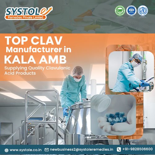 Clav Manufacturer in Kala Amb