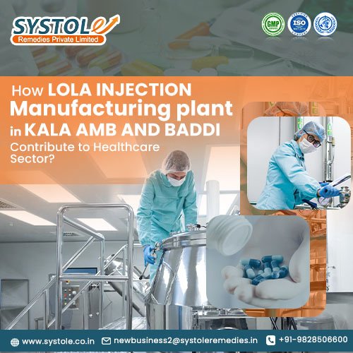 How lola injection manufacturing plant in kala amb useful