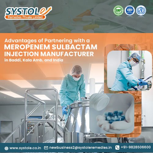 Meropenem Sulbactam Injection Manufacturer