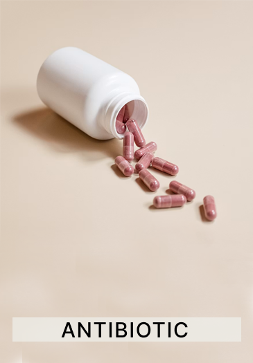 ayurvedic